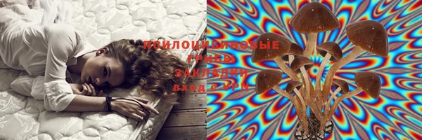 apvp Балахна